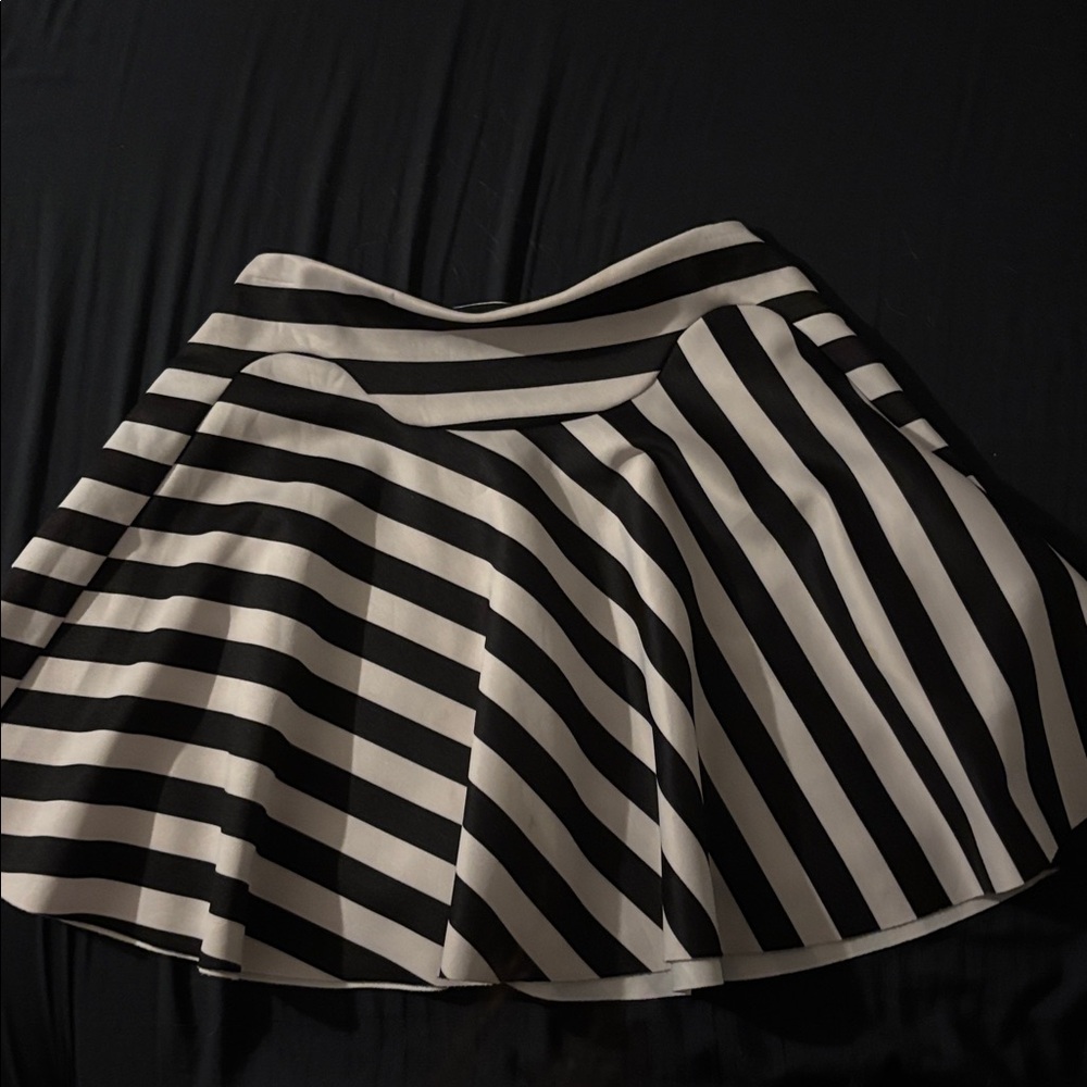 Zara Monochrome Striped Skirt